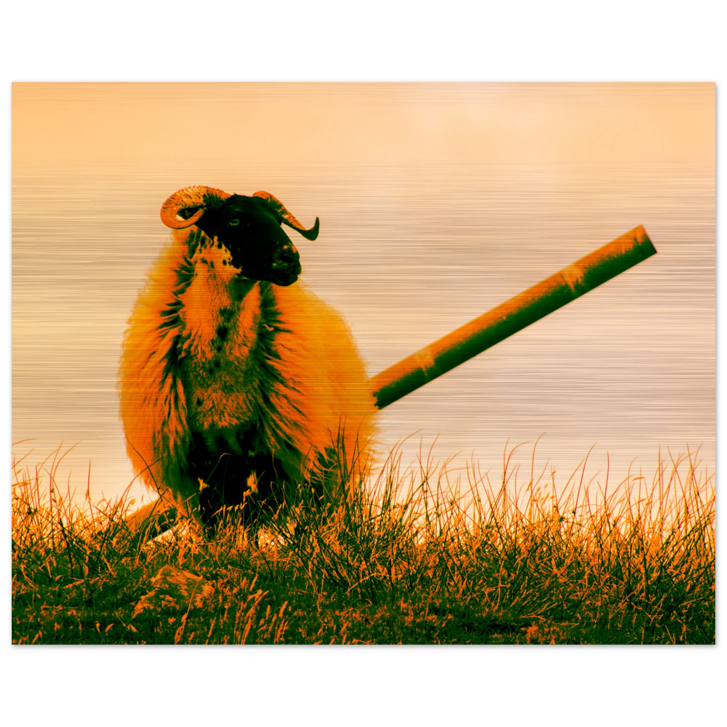 02b88a13-5a3f-48d4-bafc-155a74c9ac5e