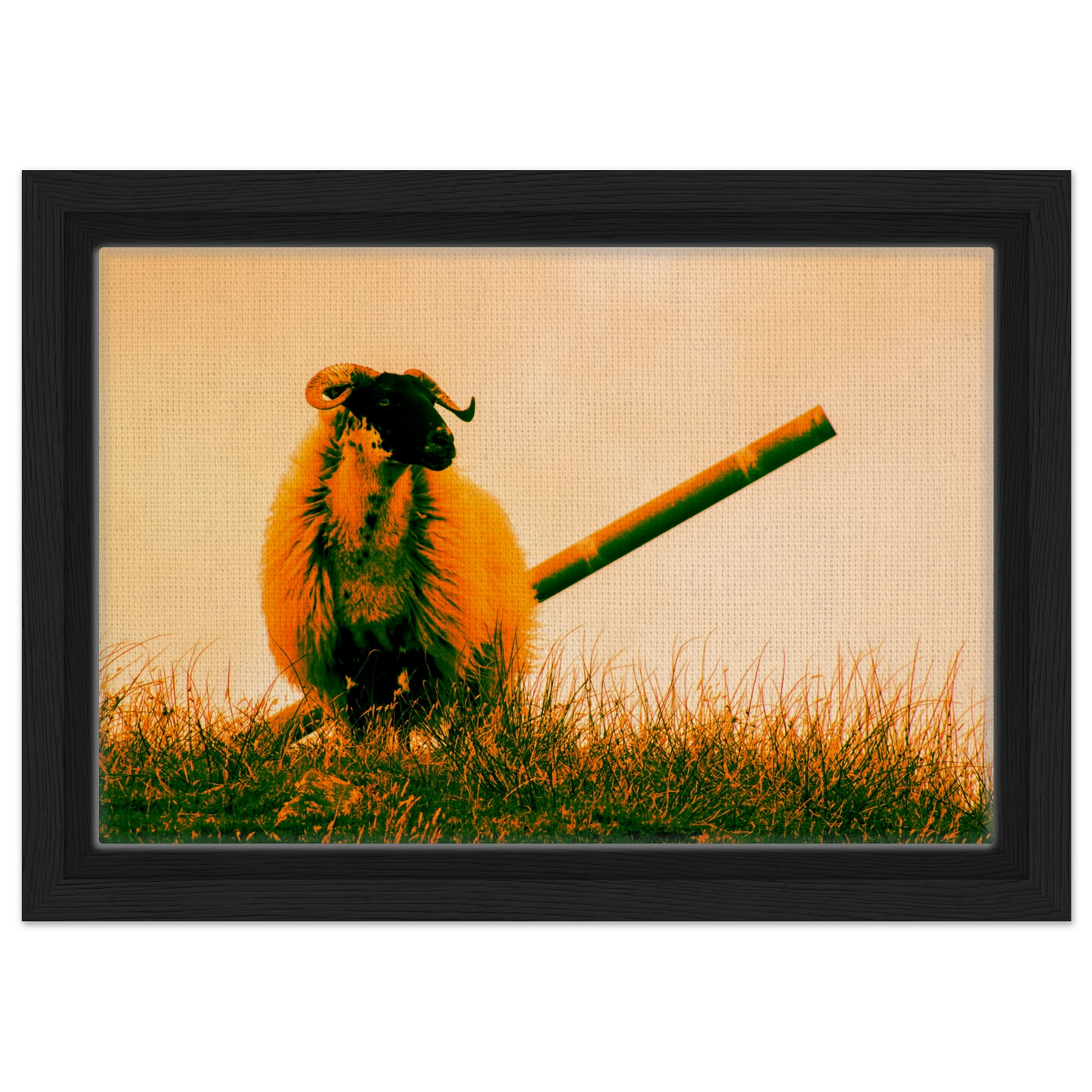 03c9bb67-0ab5-47fe-8184-32424923a059