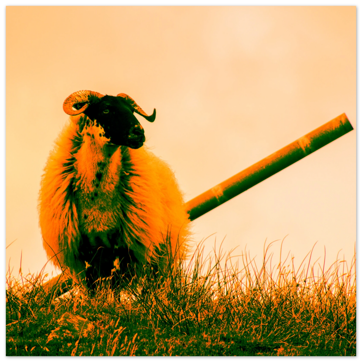 08046ee7-bb54-4a0e-8861-28639158a278