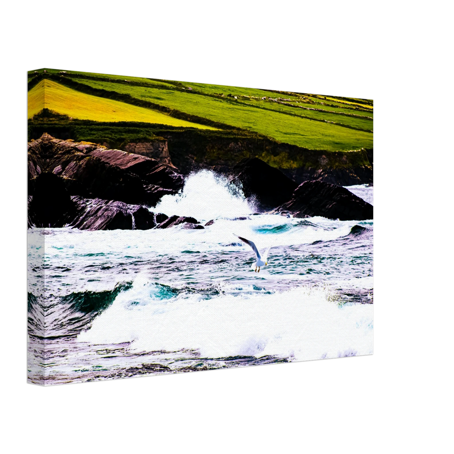 0a2a655e-9f23-41cb-a735-67e39732b170