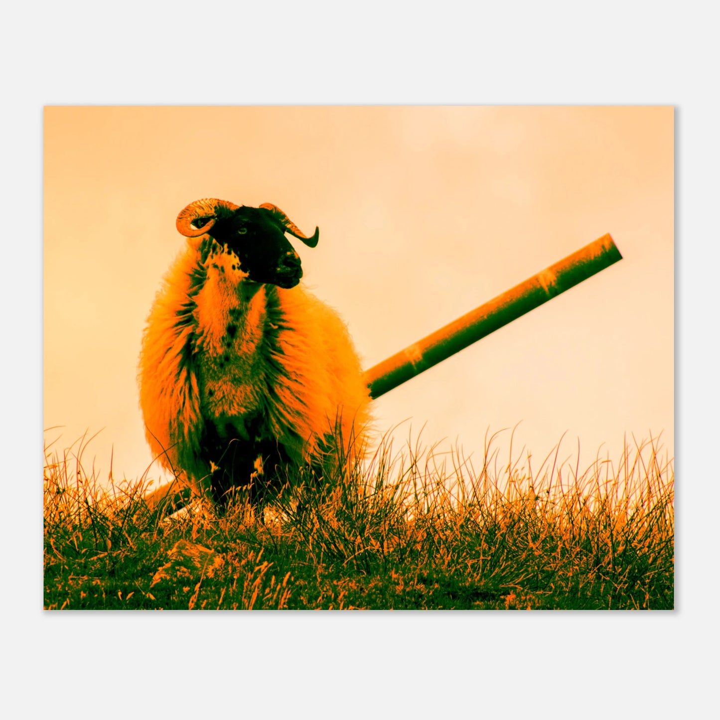 0c3e3485-2f3b-4d46-ba2c-10711e632fc6