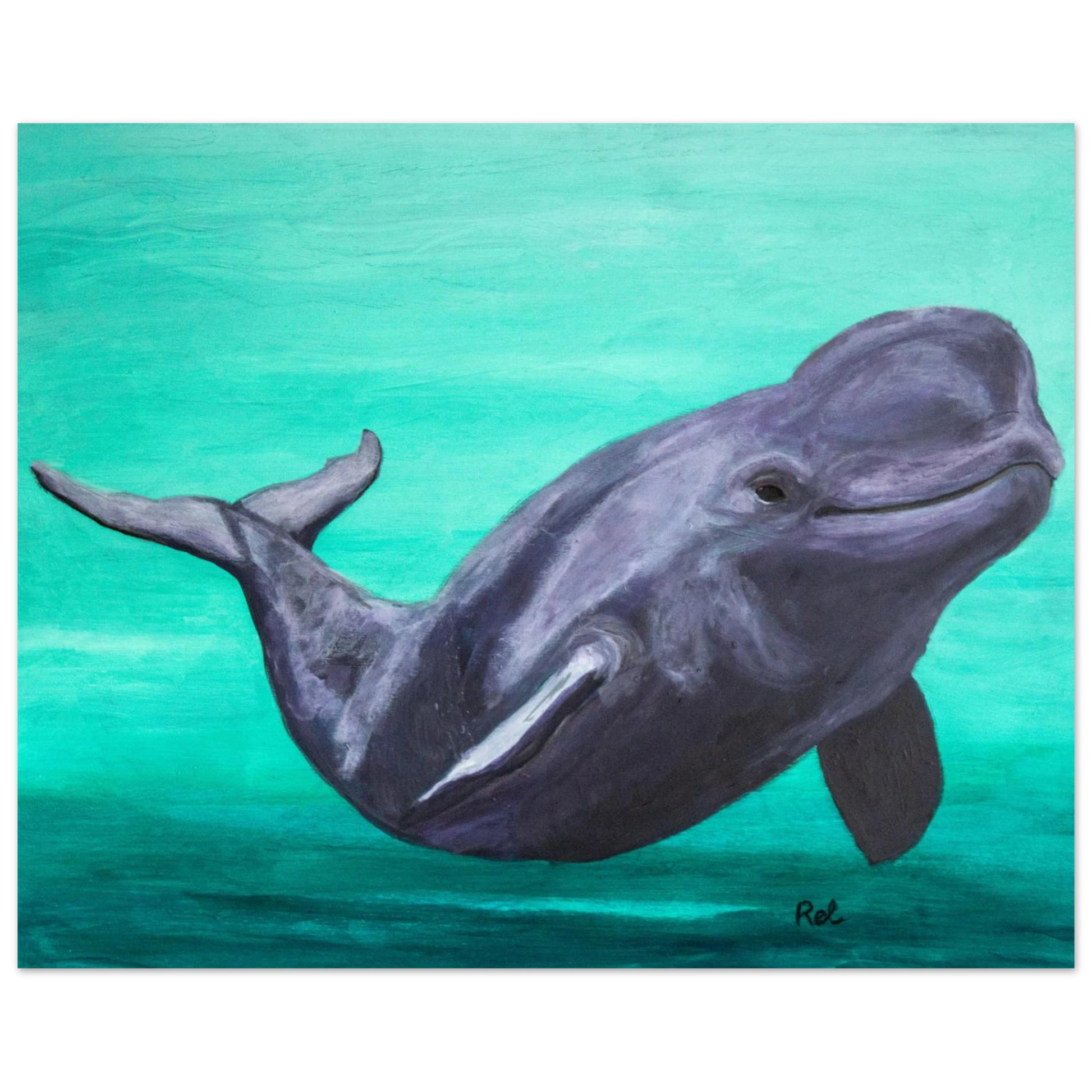 0fbd9dca-6c5e-4921-9aff-7aacaab5480e