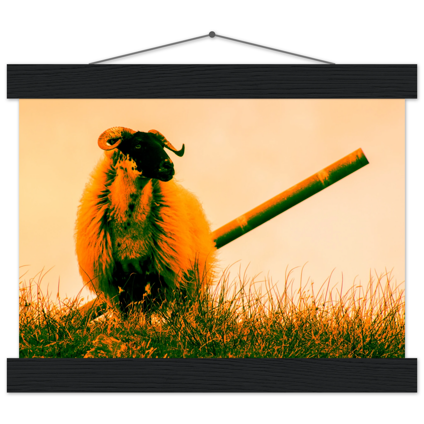 14da0f83-fa70-4acc-a3da-54ff7546c4dc