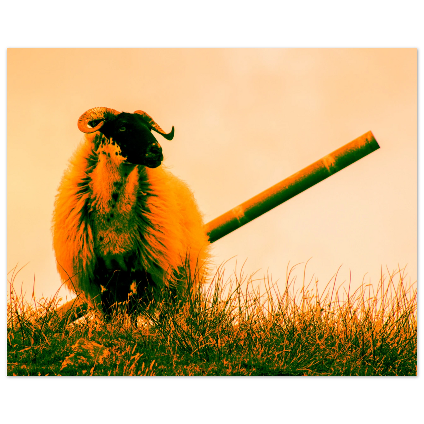 17beb5c6-2bb3-4e97-a893-4fe82cb3bf37