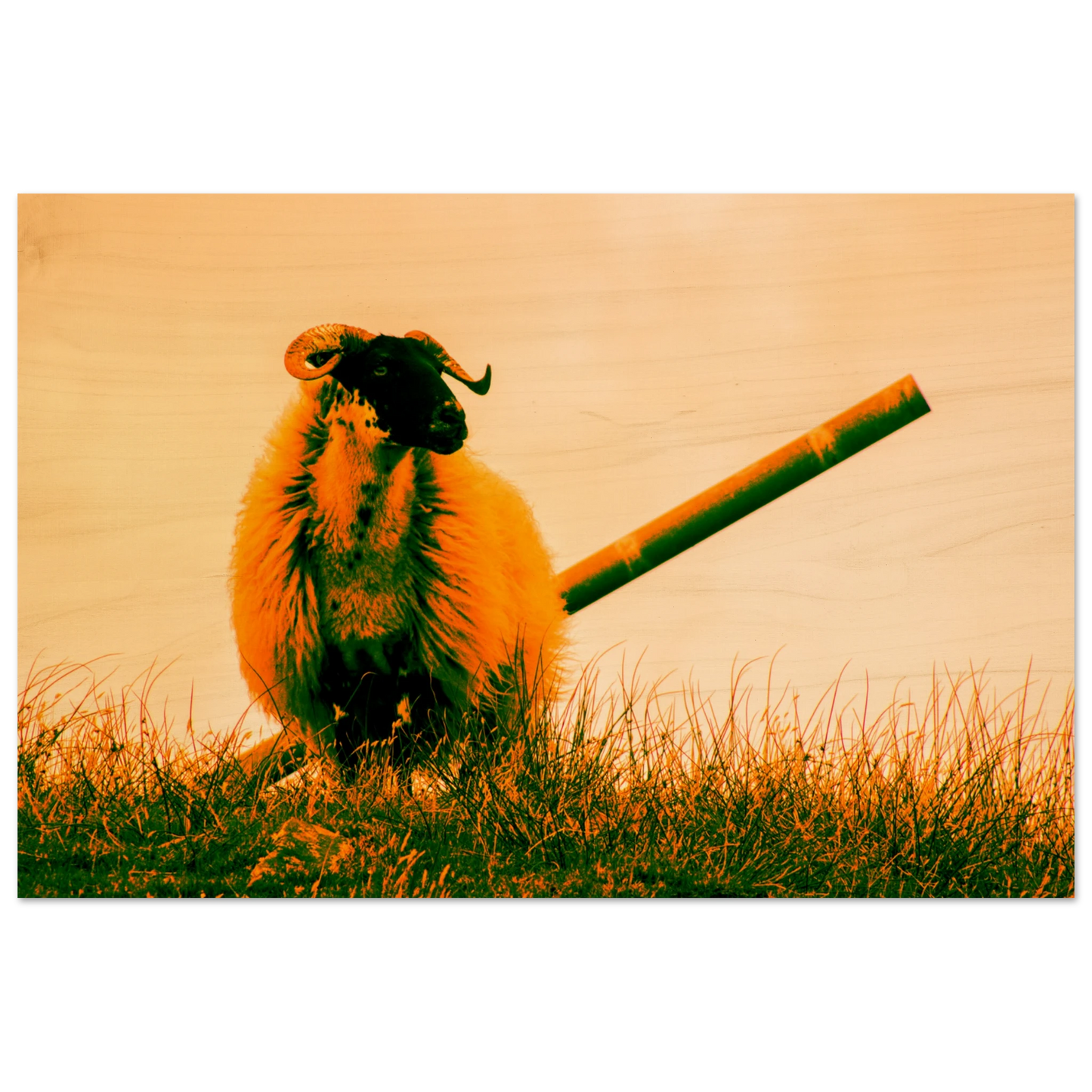 195f5b4a-61cc-4341-80bf-05e56ab75764