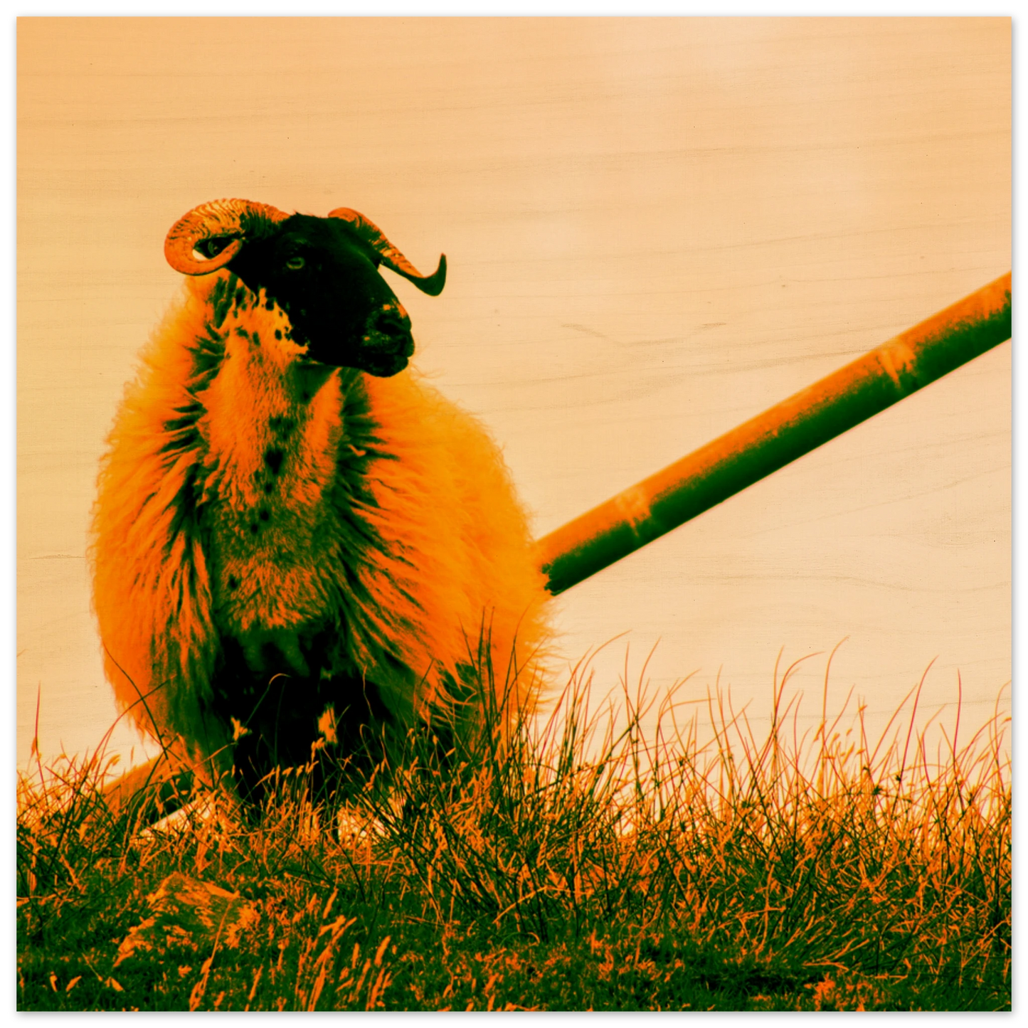 1b8ecc31-9caf-4cdb-92f5-7f3b93ee0c27