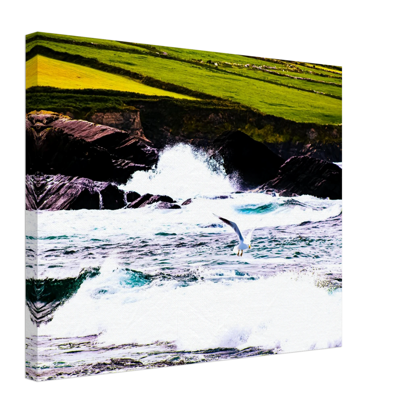 1e588d95-72a0-427d-9c01-1fa4fb93e938