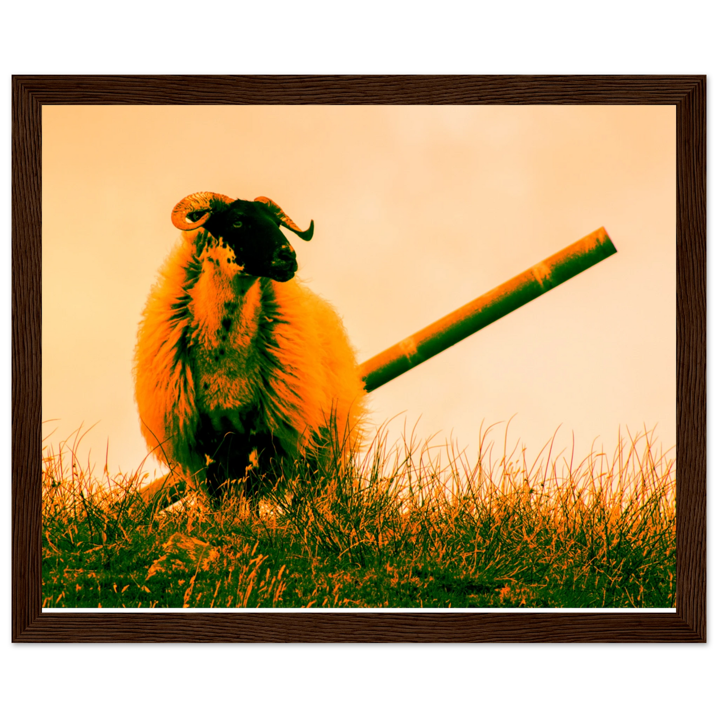 234f9141-b572-4527-acec-1456ca8a6d19