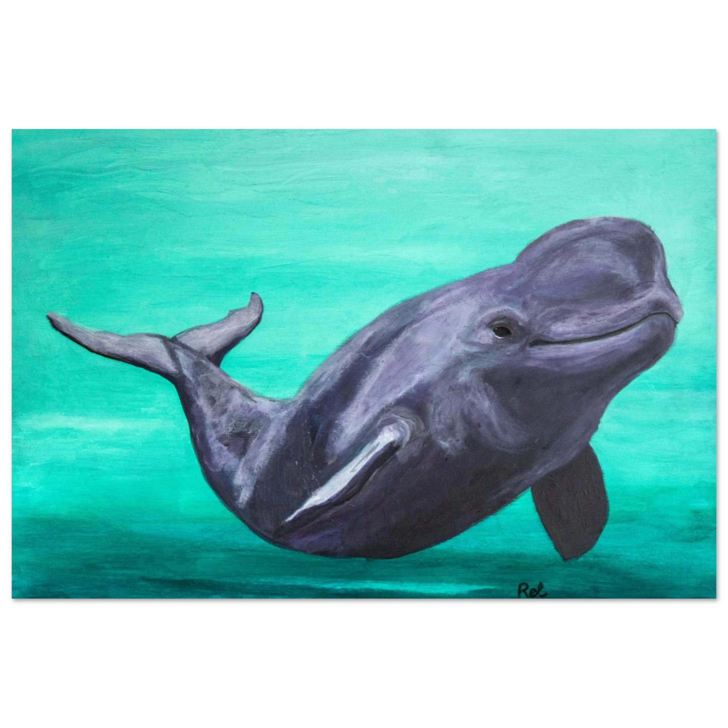 29b823c5-bb23-460f-a966-cd3a6b859646