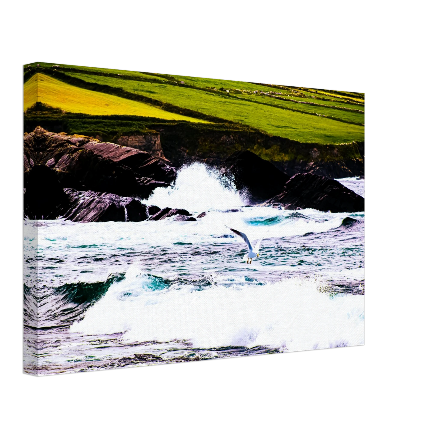 307aa1a9-7d39-4449-9fd0-ee51bc56be50