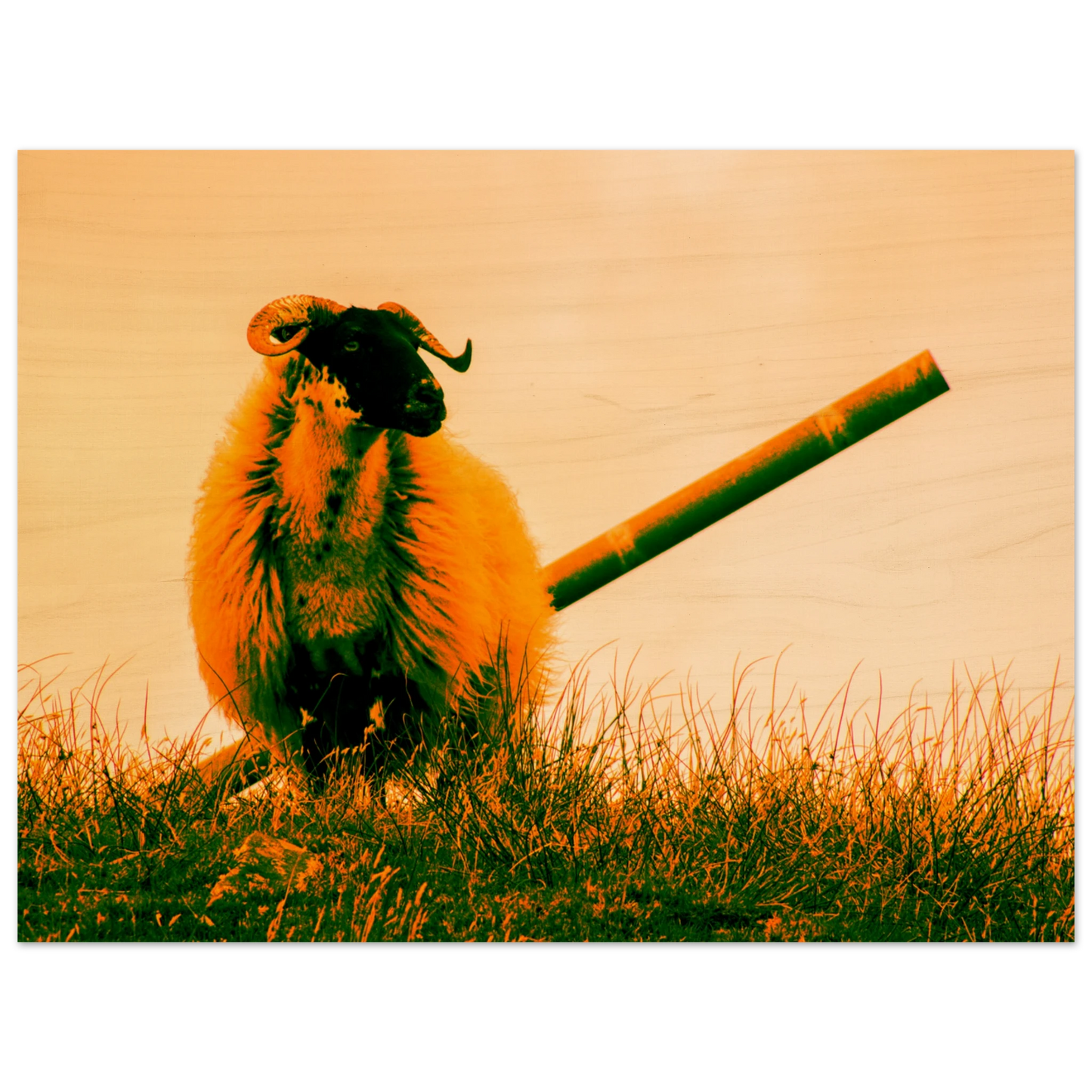 33681846-4927-49ca-9e9c-6021af2cc383