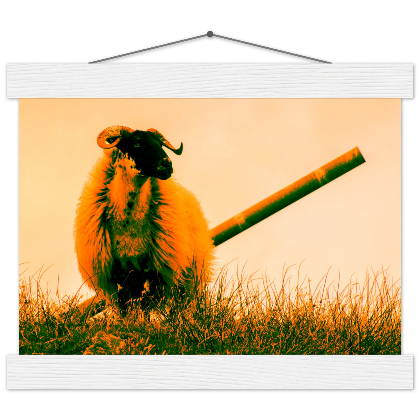 389b148a-458b-4a58-9f4b-33befc93615f