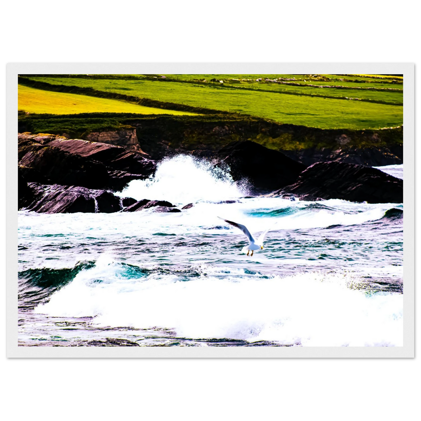 3f944d52-6814-4ed1-beec-259884ccf6ae