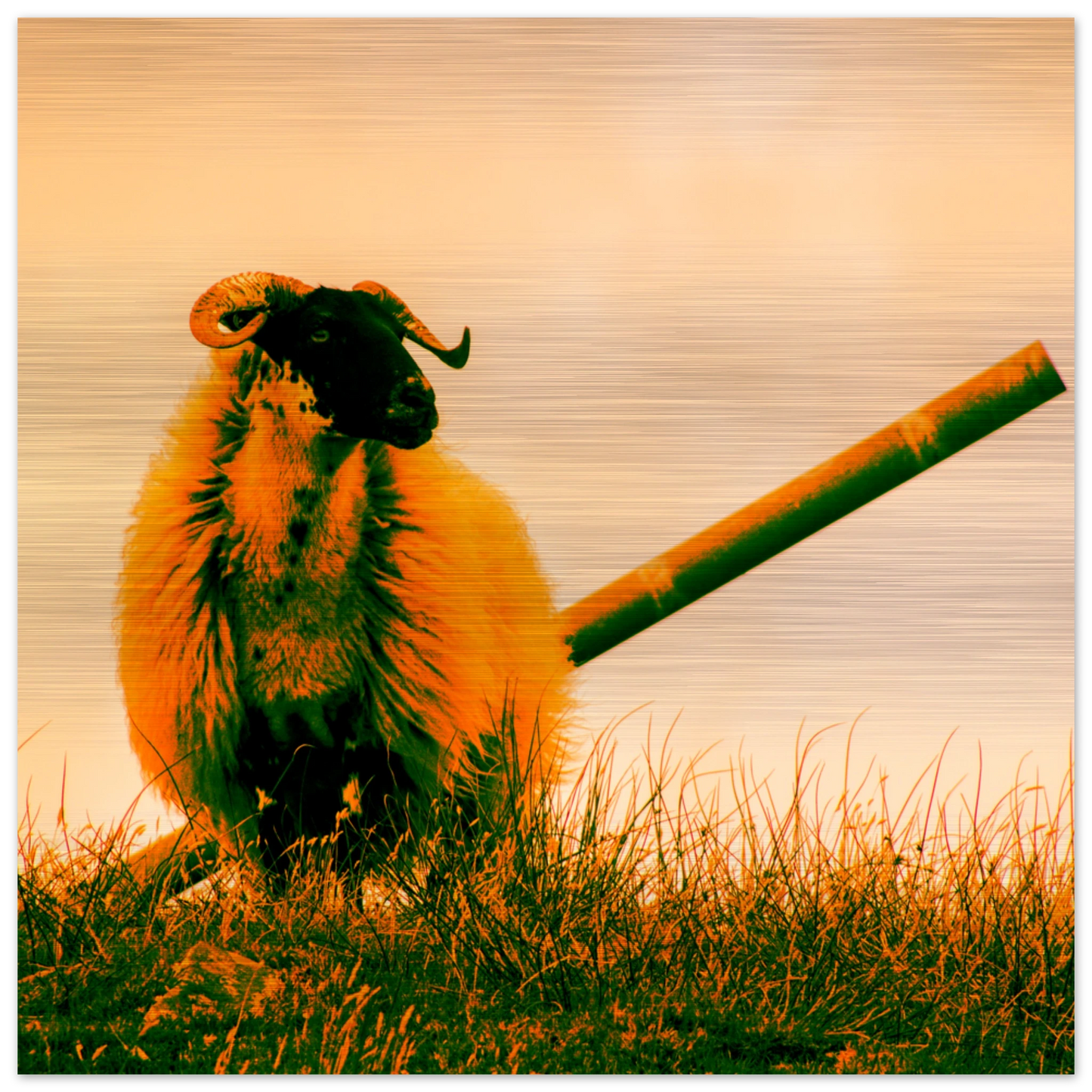 40f6136a-bd53-440c-af47-9648925e0f51