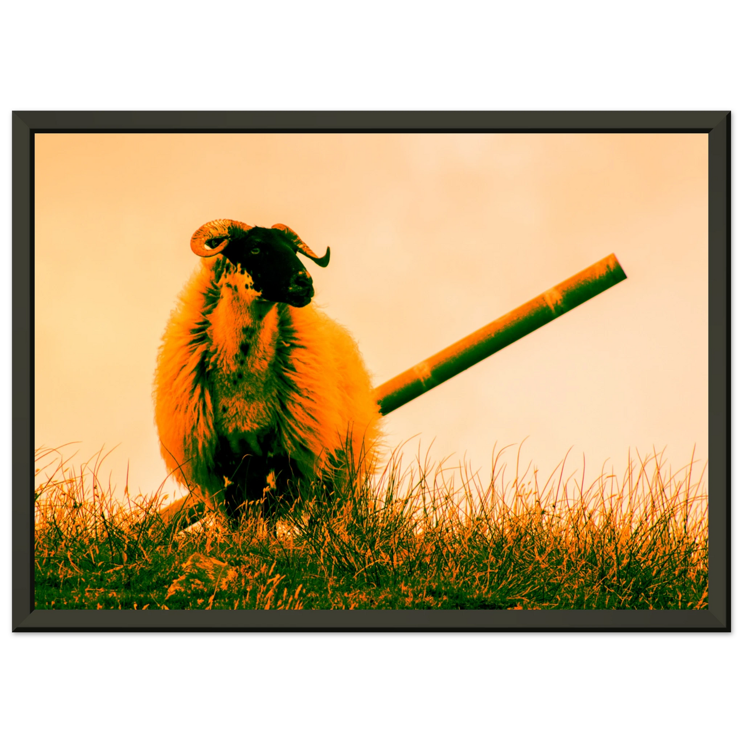 4cc32051-79c6-43d7-8ab3-775c9460c89a