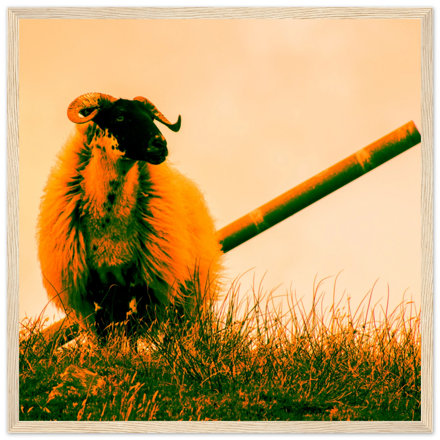 4d215432-e2cc-4a78-bd48-209c76625ac1