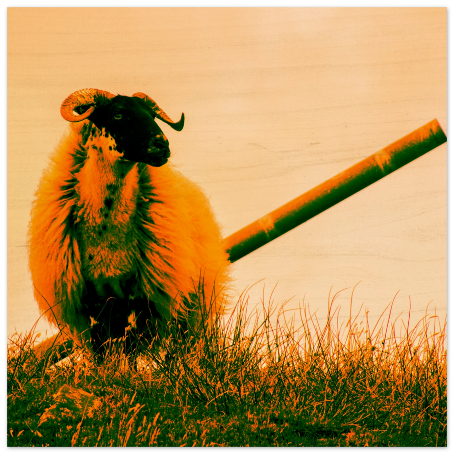 51594db8-e41b-4ed8-8077-a14a7c758682