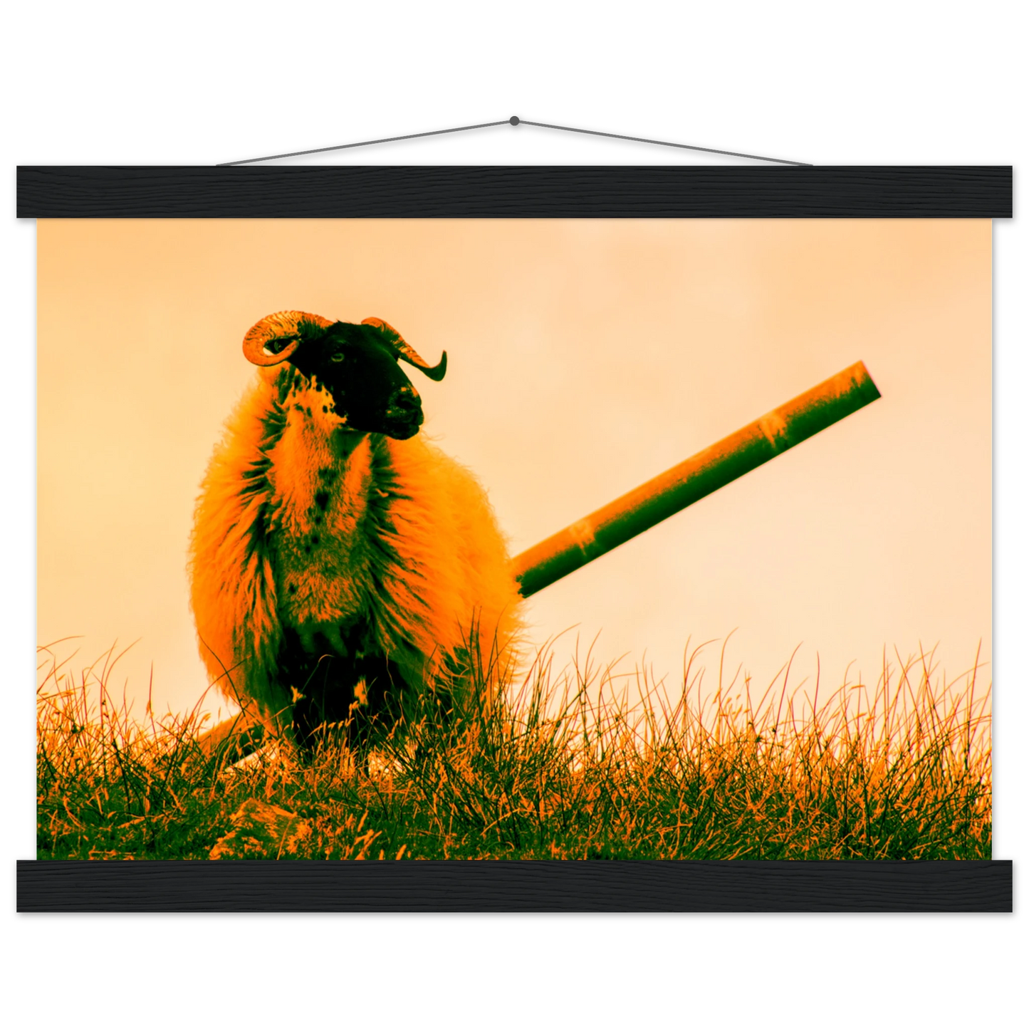 53f8dd97-e6a9-48c1-a84f-97eb145adb47