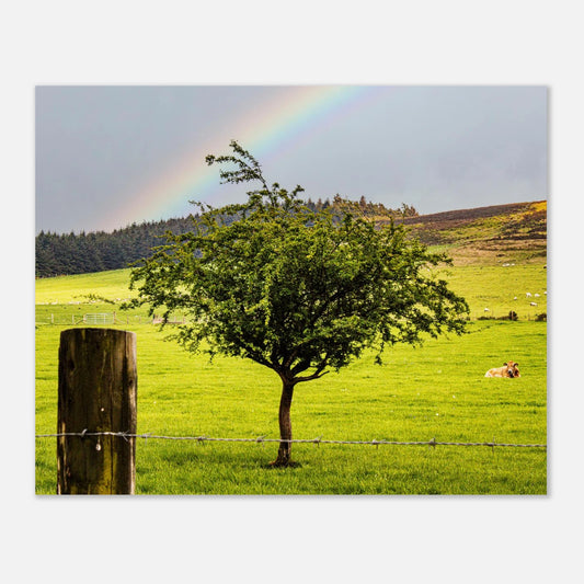 566dbef8-0858-4fe8-9d0a-9065e470bba6
