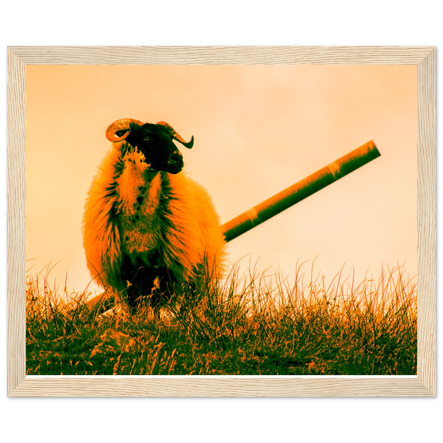 5756fcb2-e049-407f-ab3f-5ab837f6e576