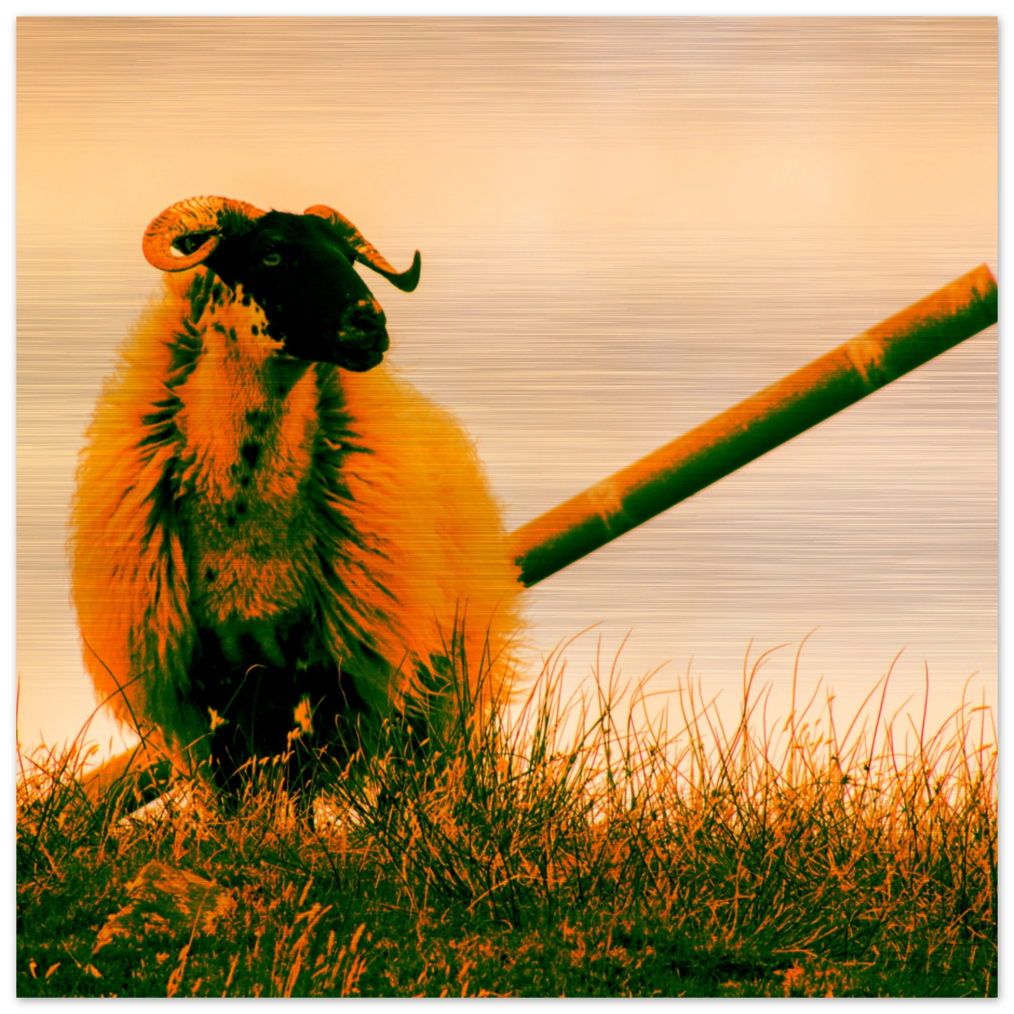 579cec41-fb54-46ce-8d97-388086f59dbd