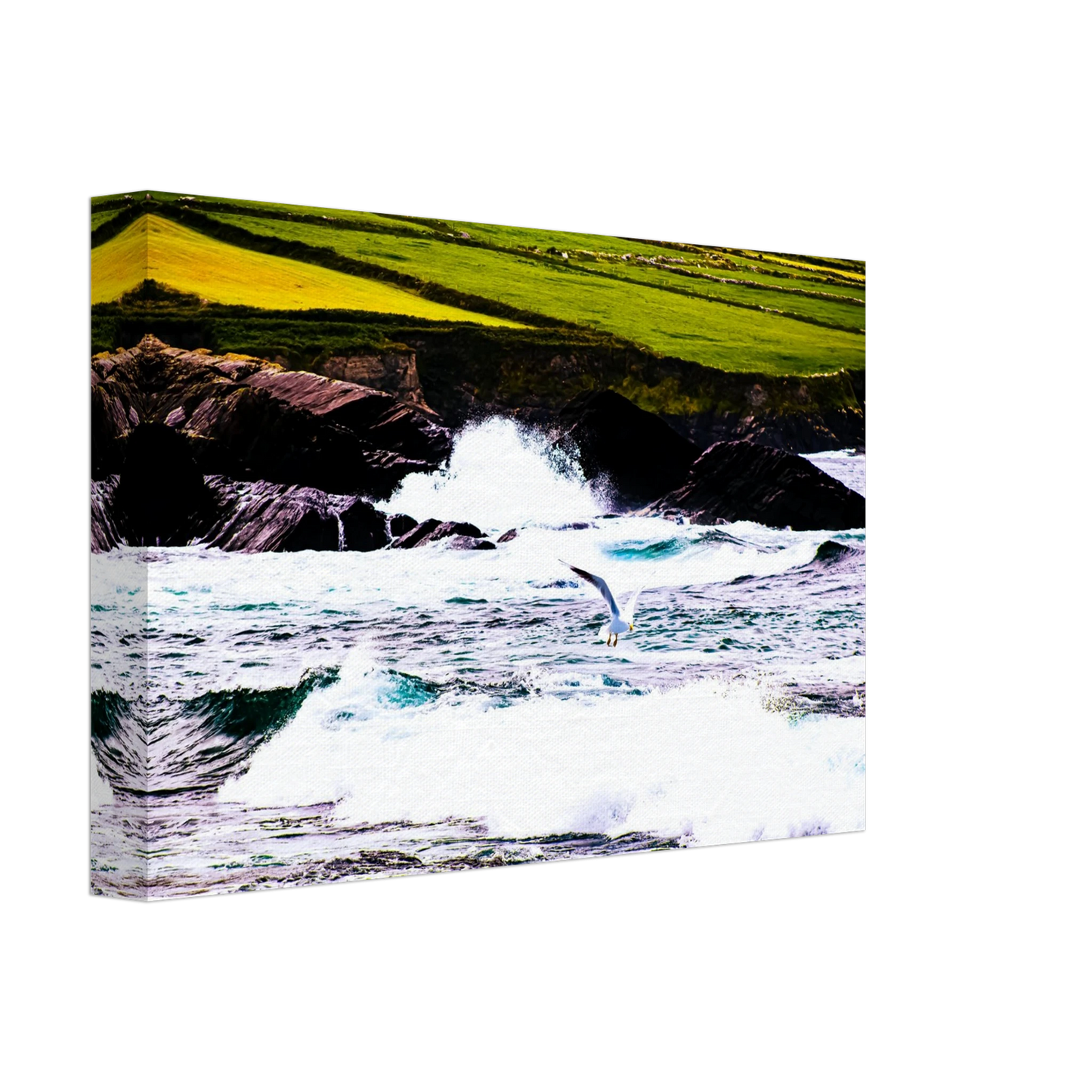 59667e92-55f4-4bdb-bec2-3cd4626911af