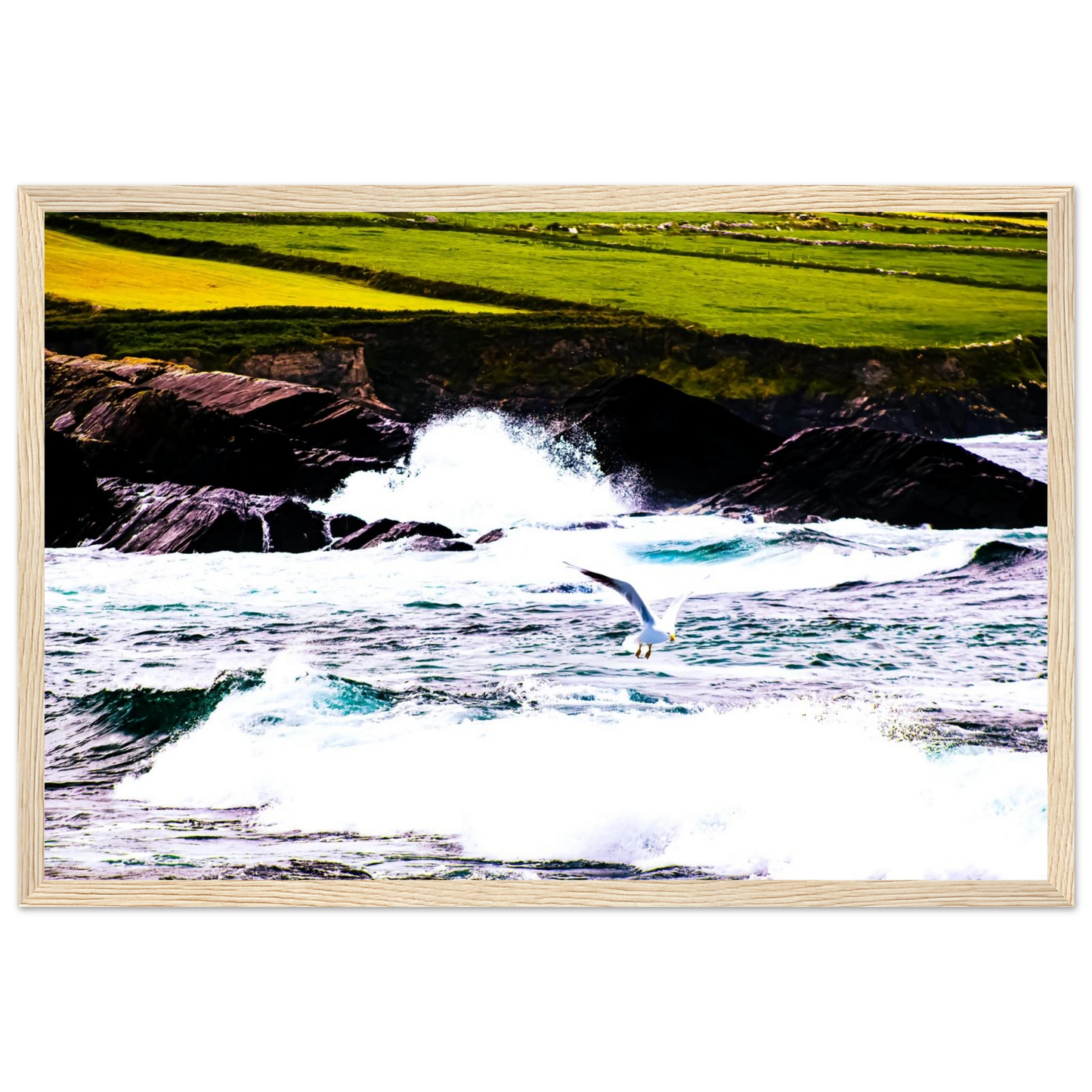 5e63c301-d45e-4888-8e18-9500856d2dea