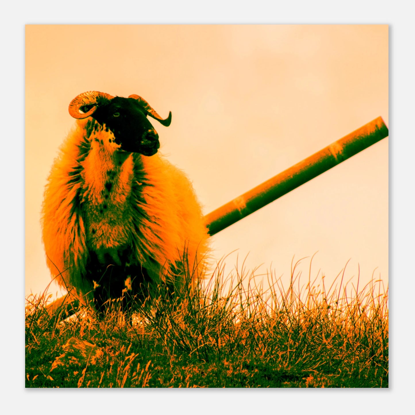 5fd36e74-7b8d-478c-a564-7bf0812fdf57