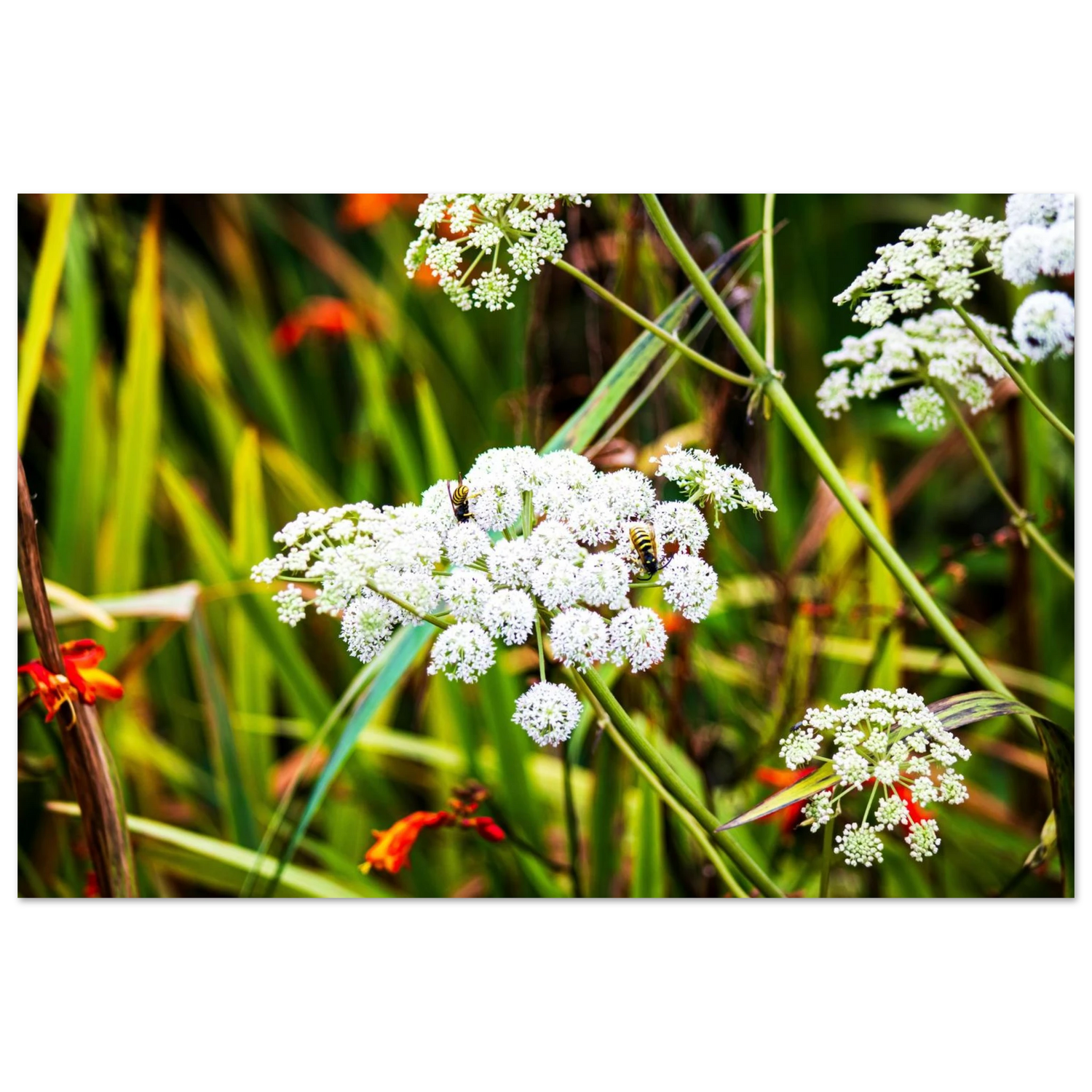 6e6e7e23-e740-4117-a30c-2221ff69a526