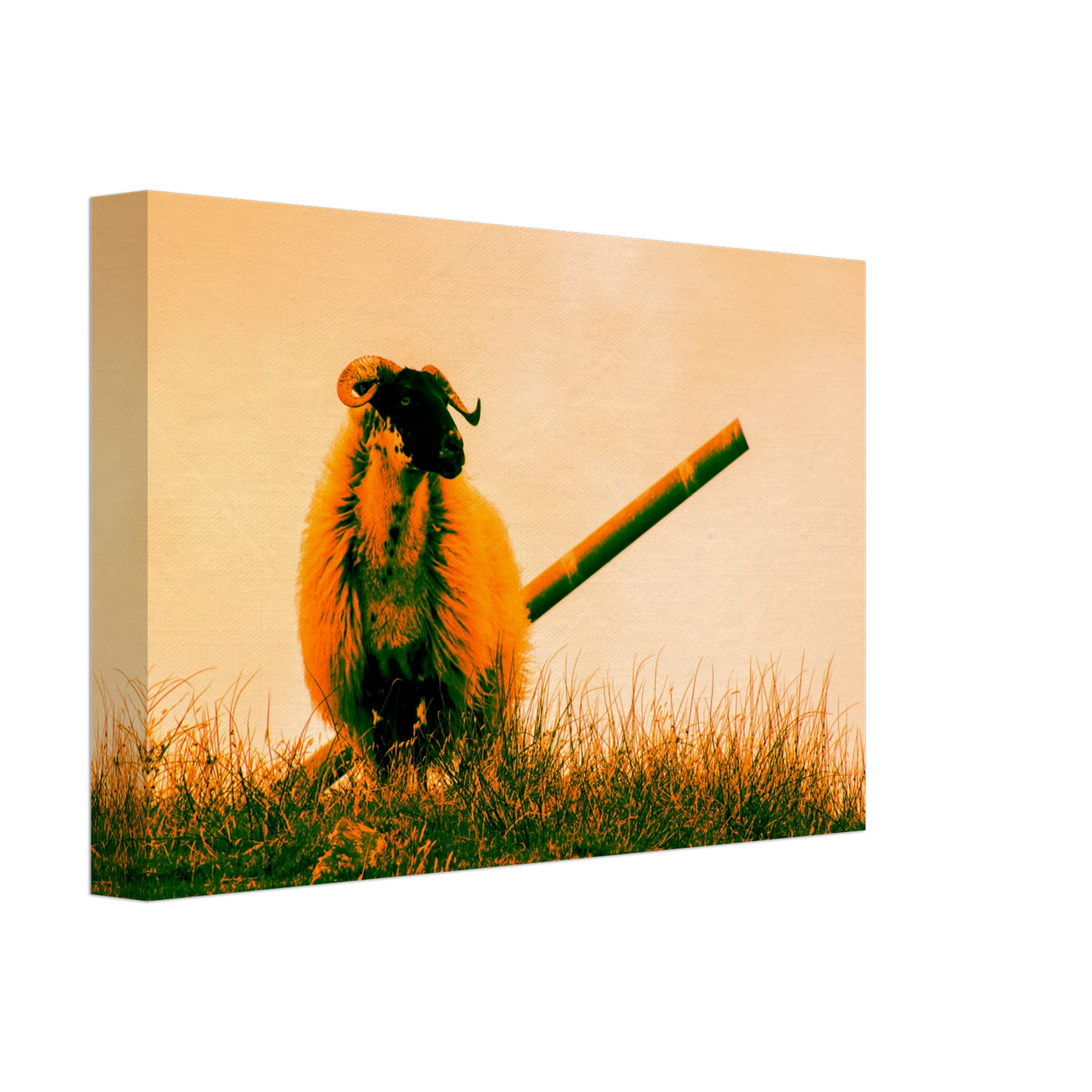 74687092-12f6-4b42-821e-ebc587656312