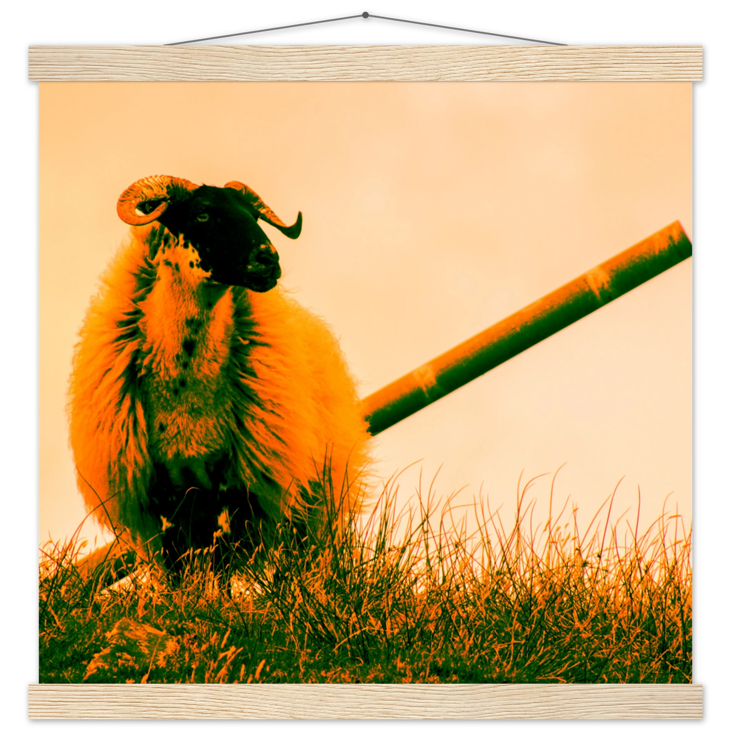 762f5161-e3da-4a52-bab7-d380fbe77f2a