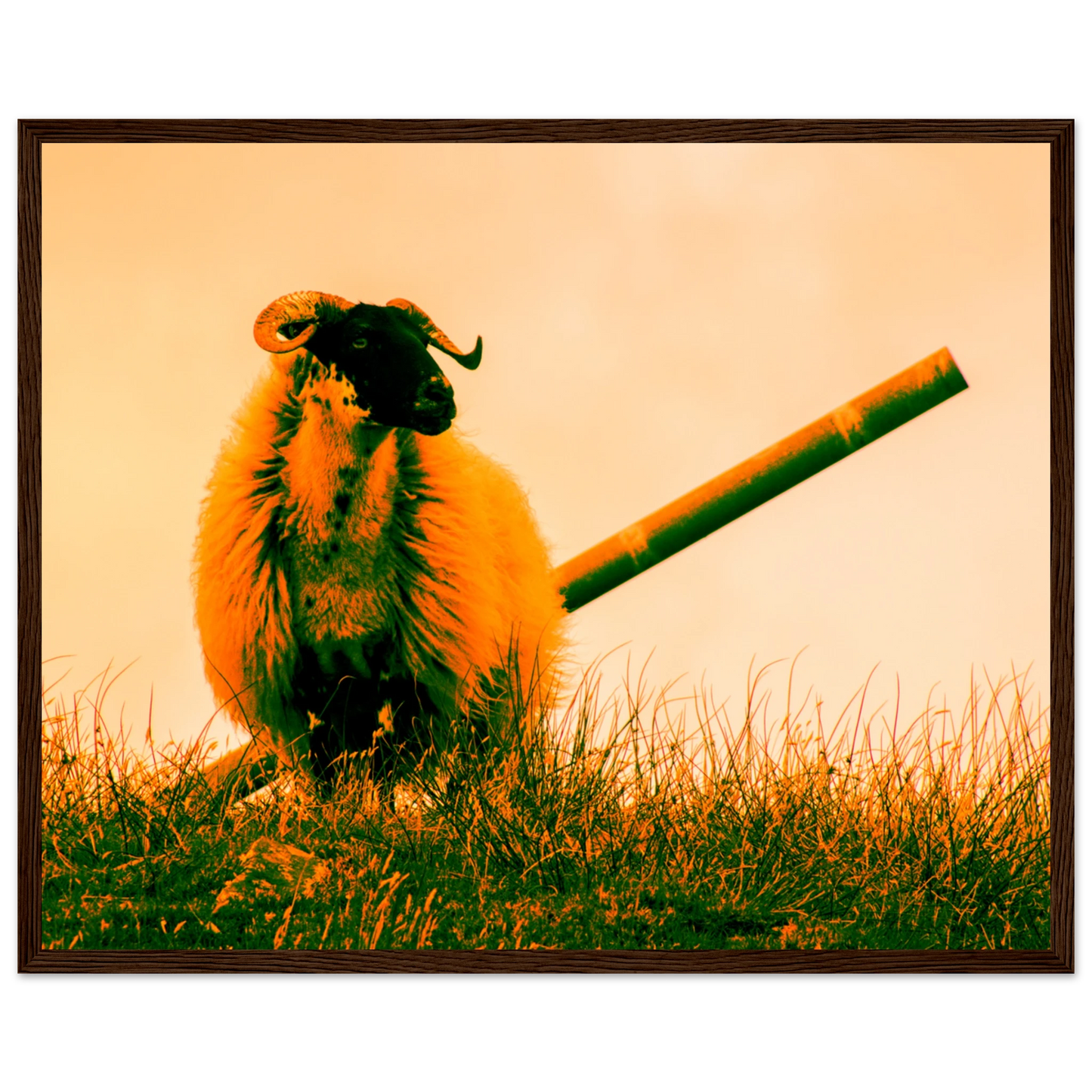 7759981c-4303-4a1c-880a-f196d4e6646c