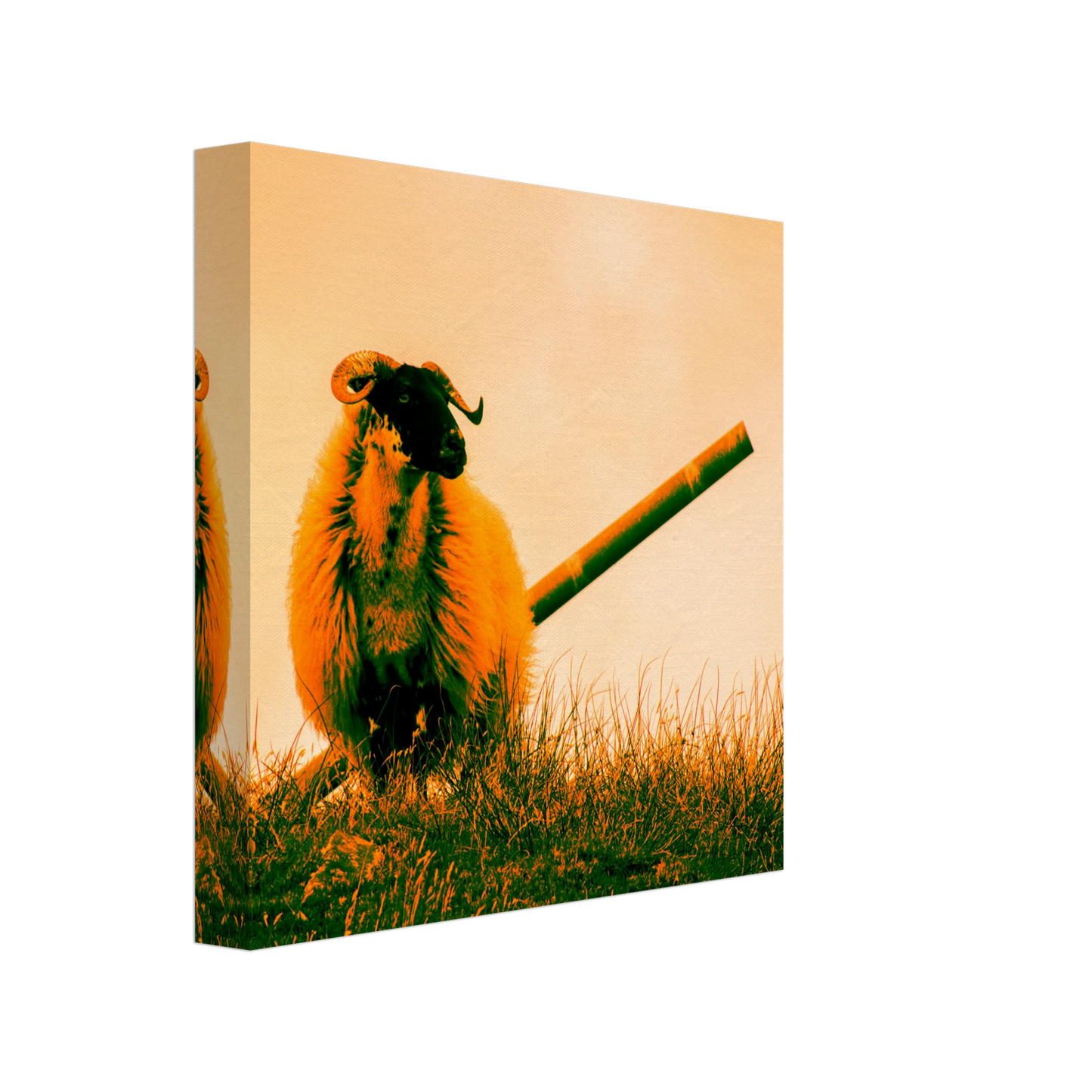 79b16e56-b24a-4800-ae72-93c659860bc5