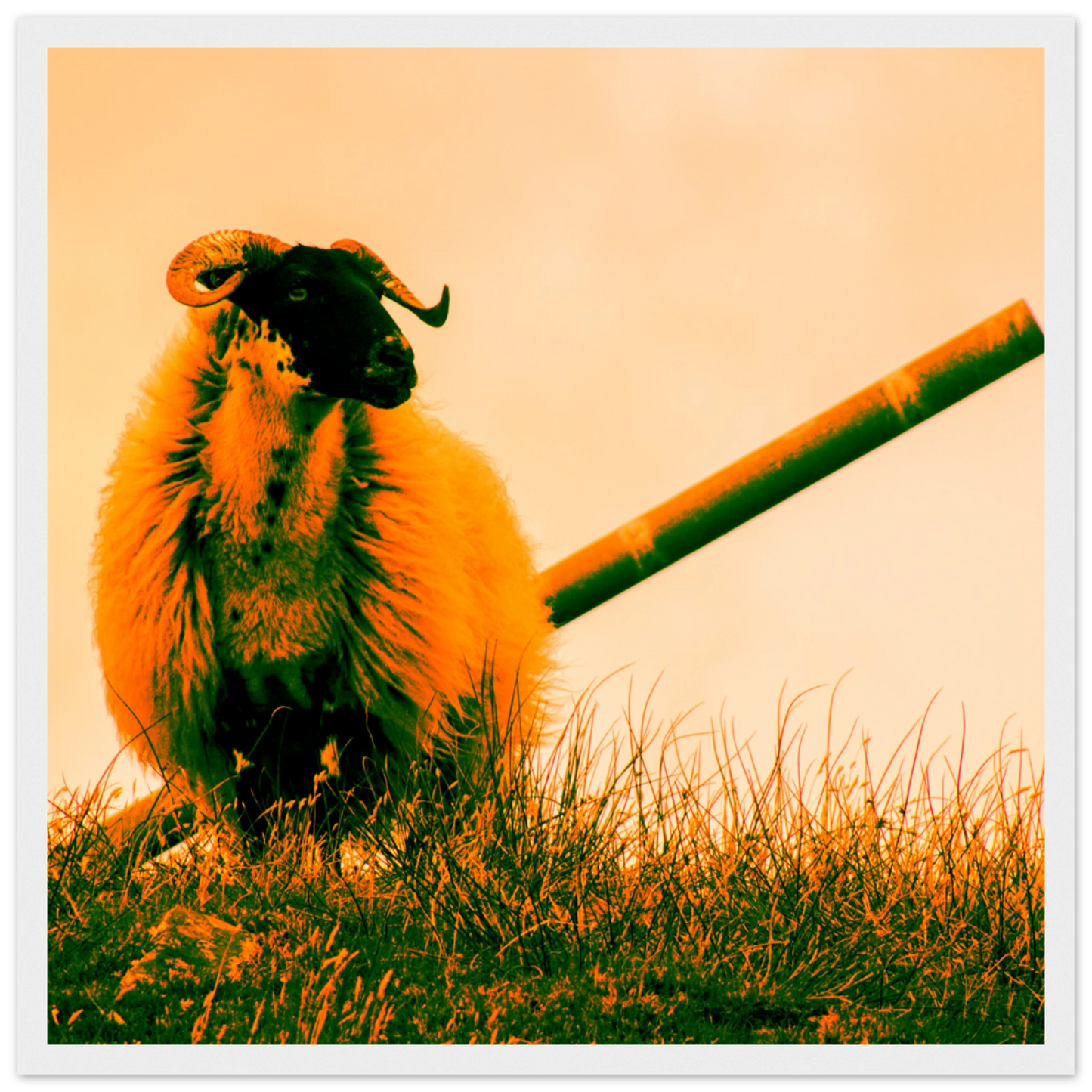 7f9b67b1-67cd-464a-858f-cd10956fc6bf