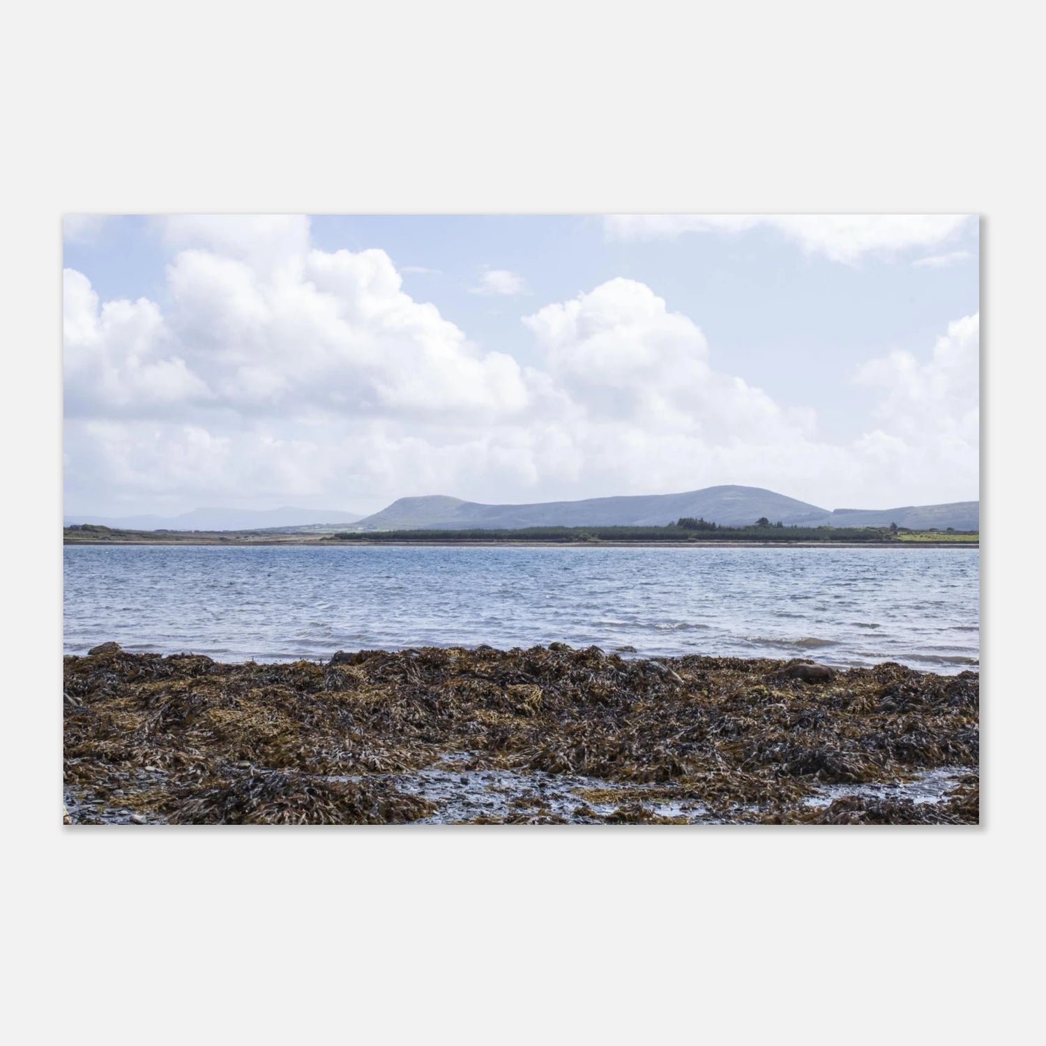 7fae29f1-9280-4f65-a449-21a7aebf370e