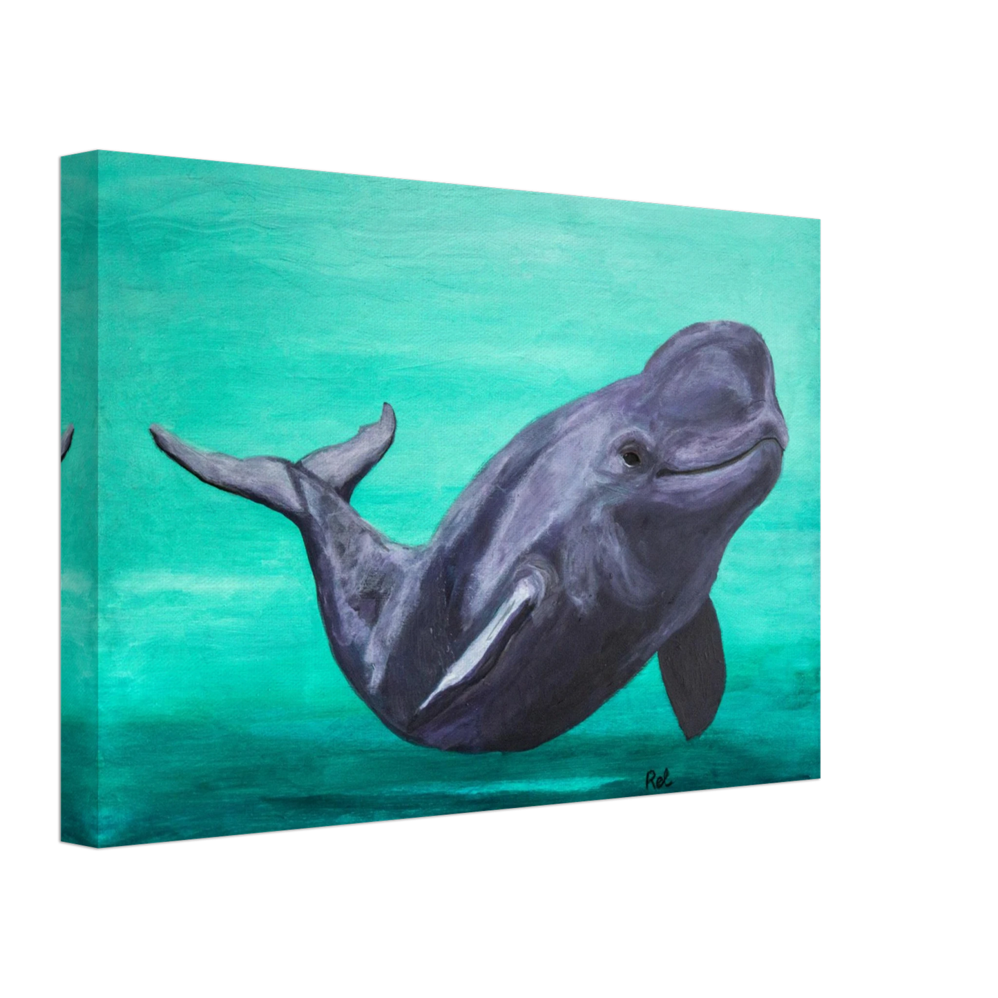 80580ecd-fe82-425a-a405-4058566e0a26