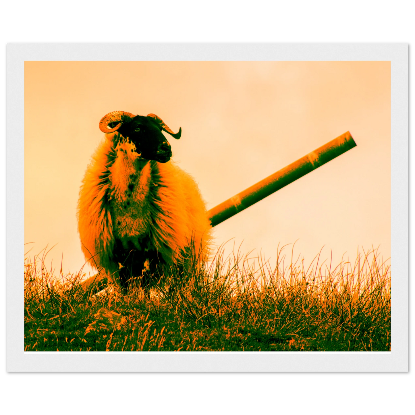 84d601f8-ee9a-4f8c-a8a2-d63c53c8d54f