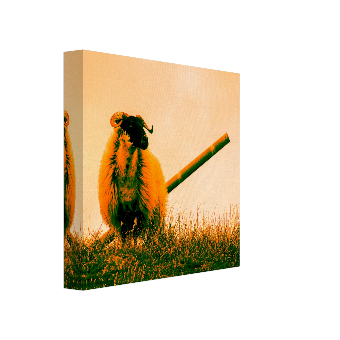 86309048-3318-48b9-af29-f2e2908cd97b