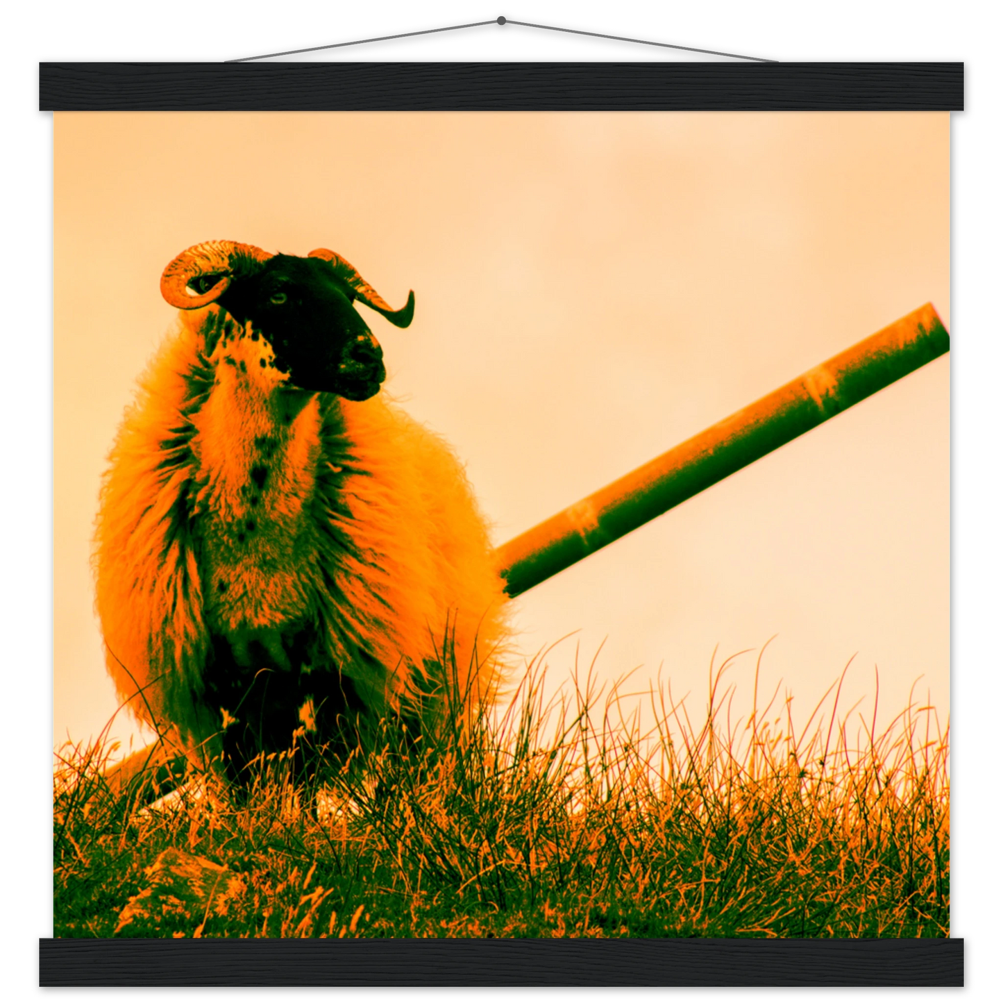 8b909311-1448-4dad-b526-4c3d2dc5860e