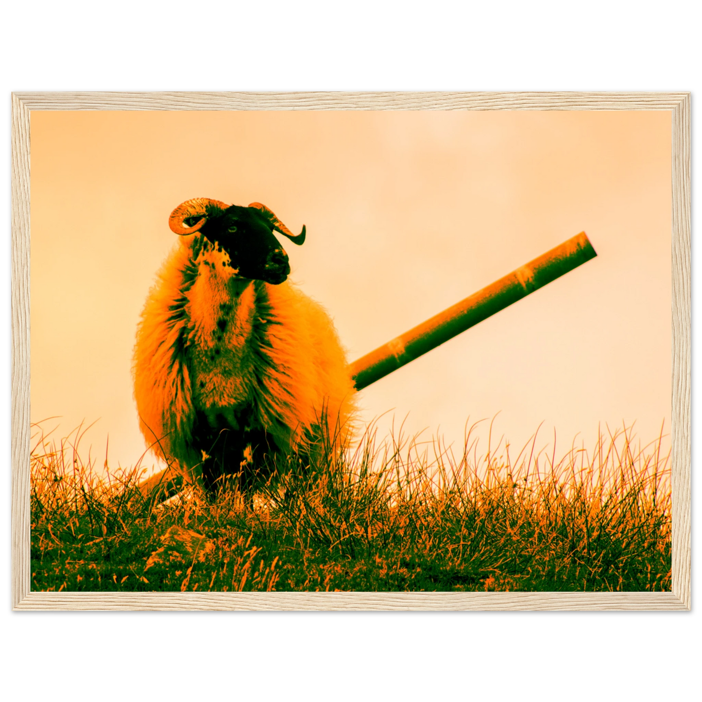 8e1b35e5-7975-4d22-8d47-6daa5bfa9e3c