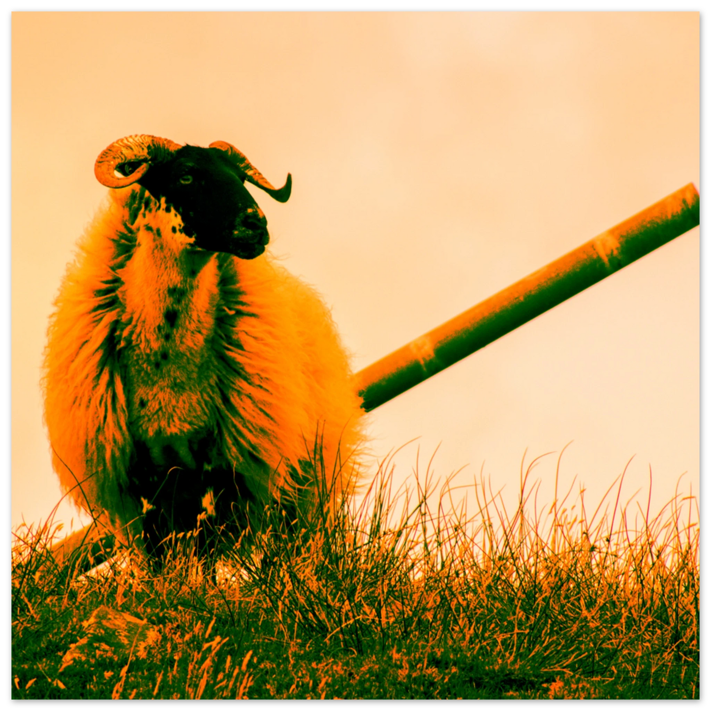 8fb833a0-cc4d-49d8-addc-7f307724c8bf