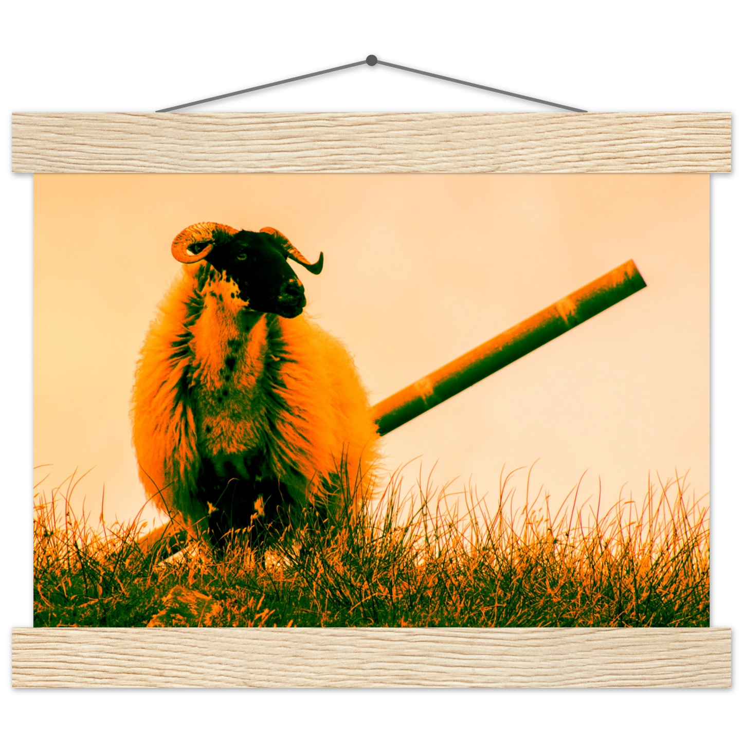 9787d383-71c4-437f-9490-df24015038fc