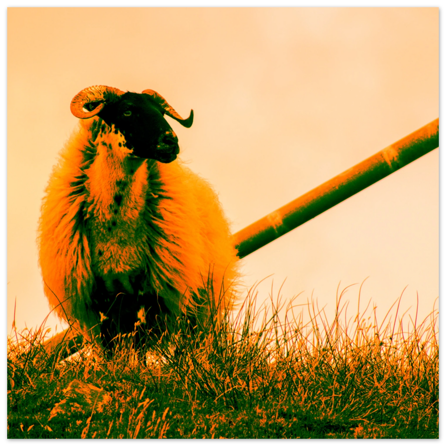 985fafd4-ee70-42e1-b950-9418fb0b1be0