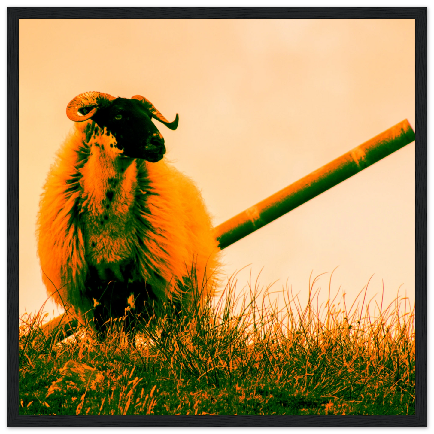 98ac8b41-5d88-49b9-913a-c338fd1b692b