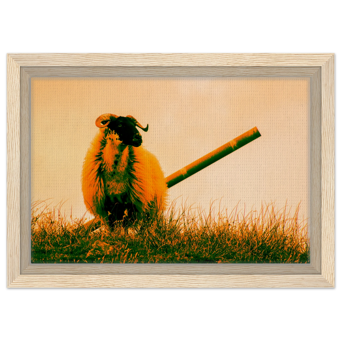 9d9d174e-c34d-410f-910d-22f3e387a2ff