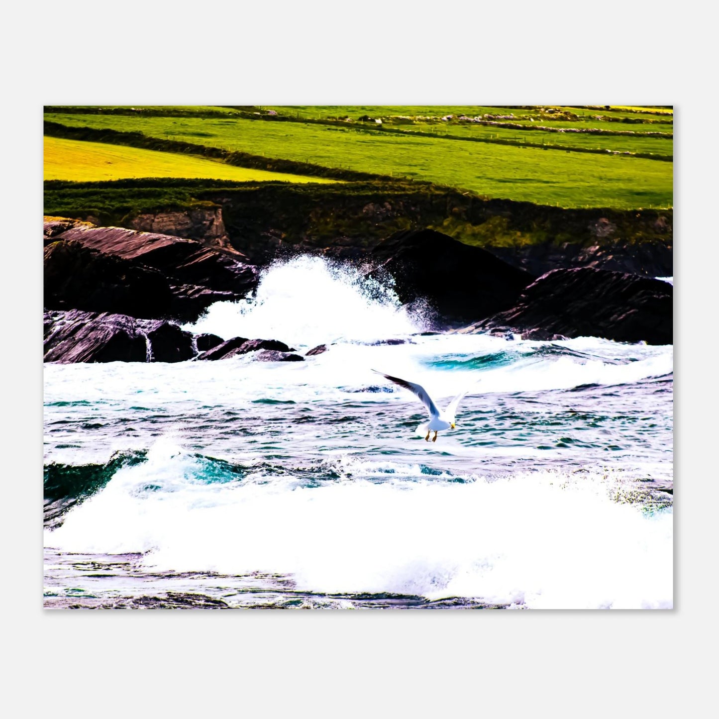 9e79ed03-2463-4c3d-83f5-d45a10ec0016