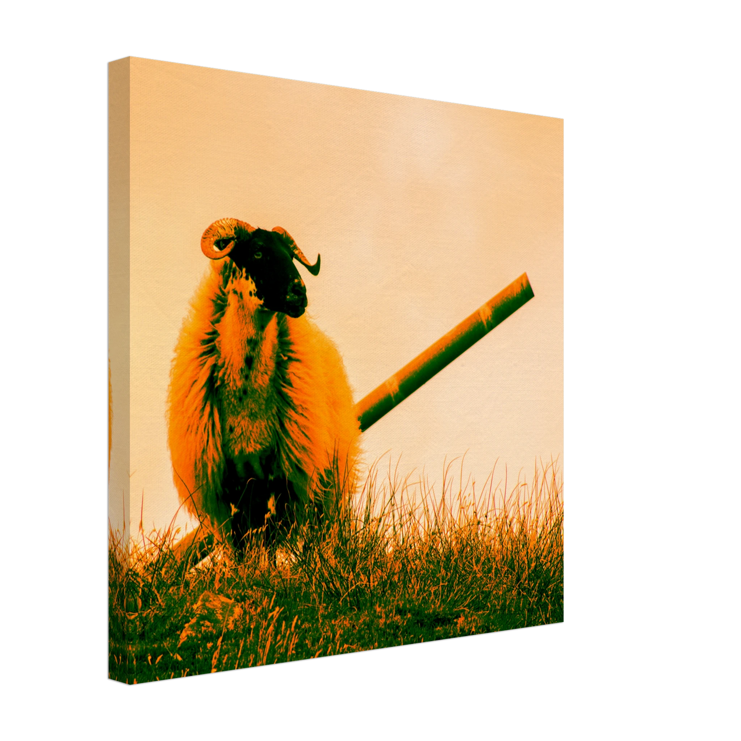 9fe762ad-e5ed-4d3f-8961-4f1769234330