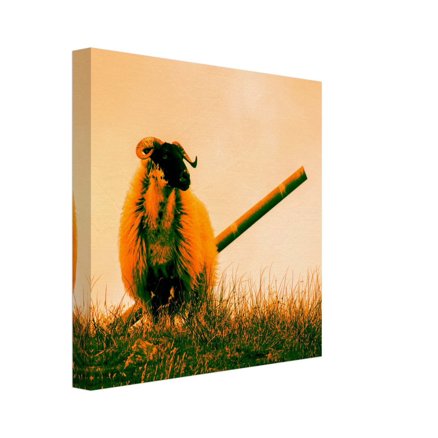 a2f37102-83c9-4d62-87a3-bf84aaf544fb