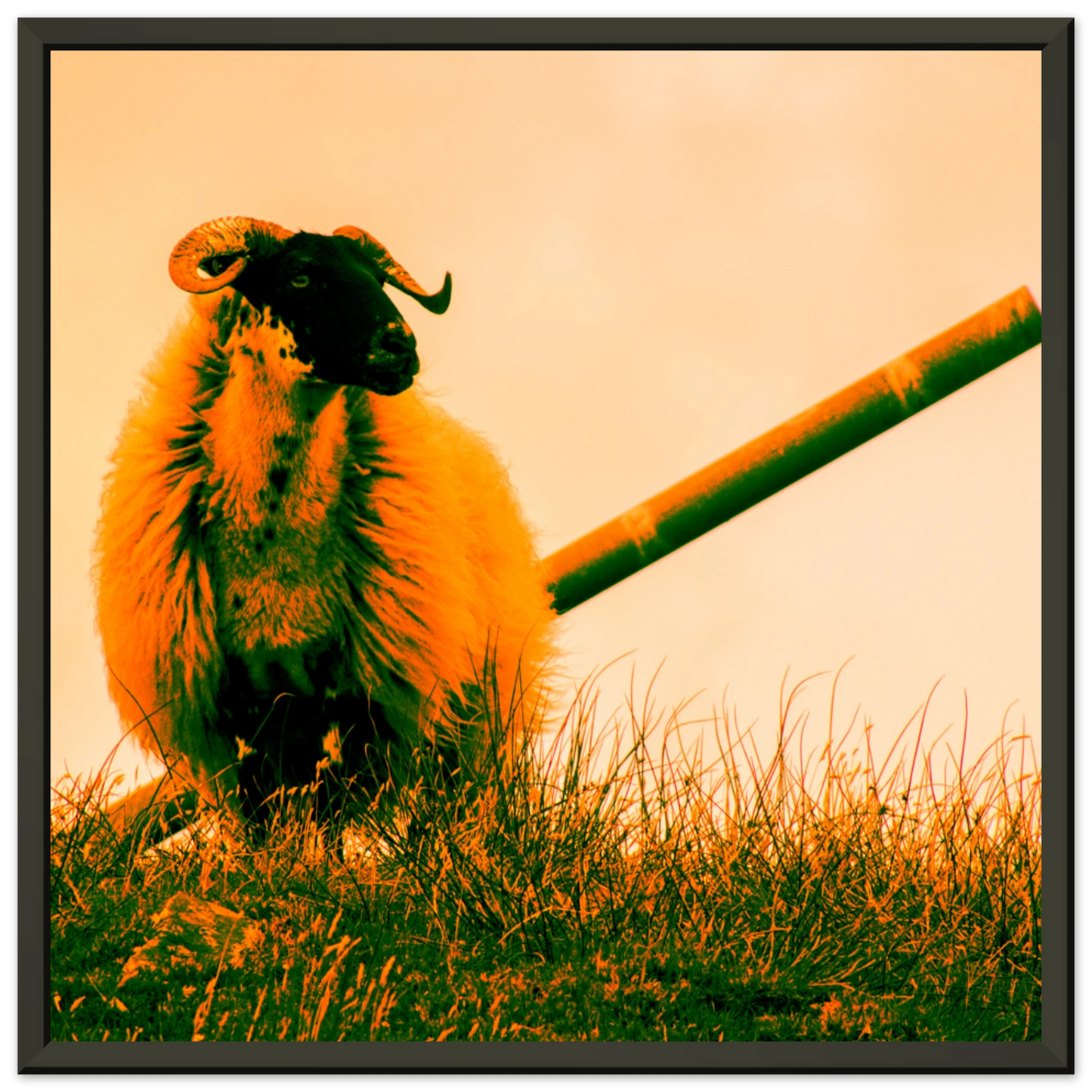 aabe6237-99c0-4a4a-ad99-e6417a87c096