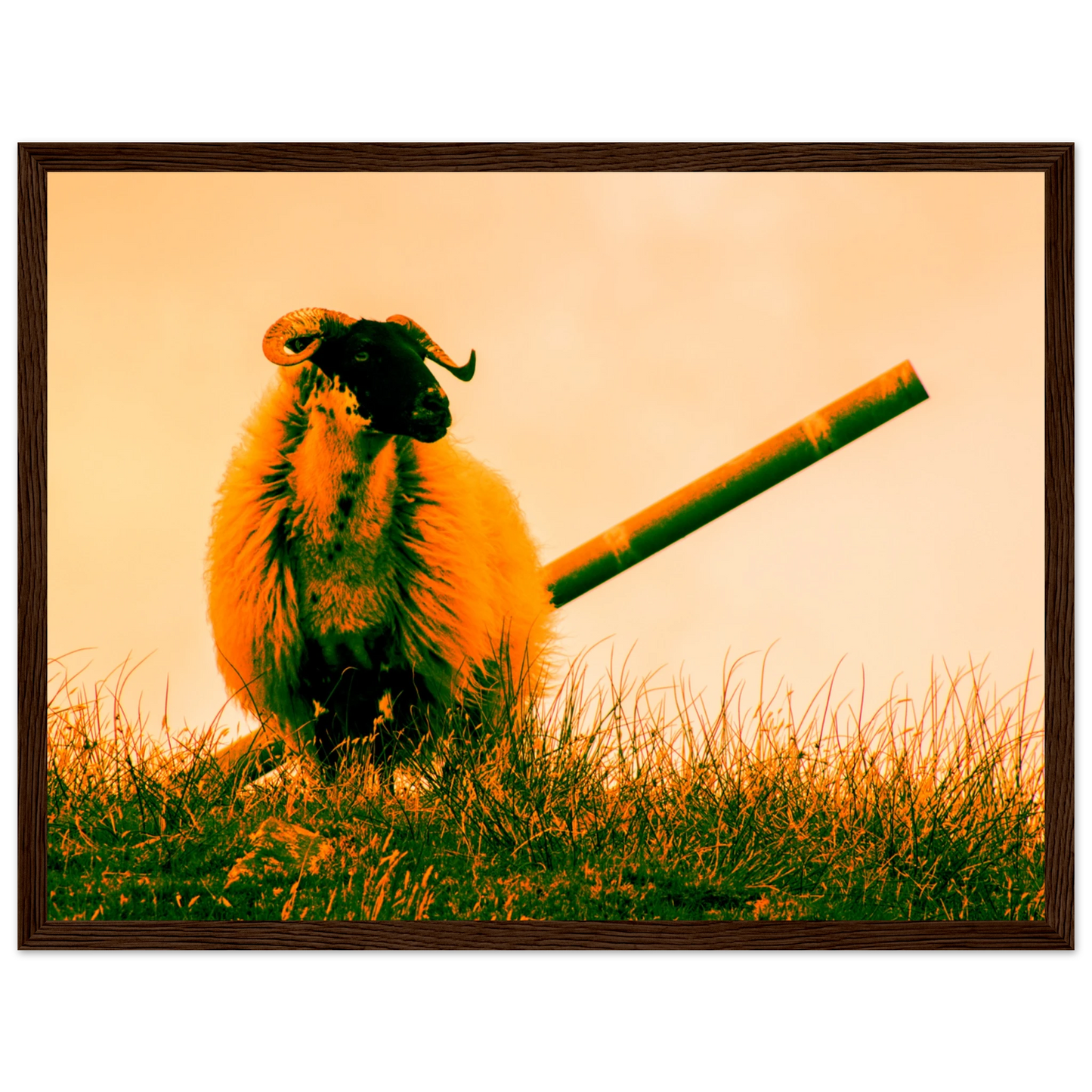 accfbd67-be8d-4c76-bab8-d70d7bbeb530